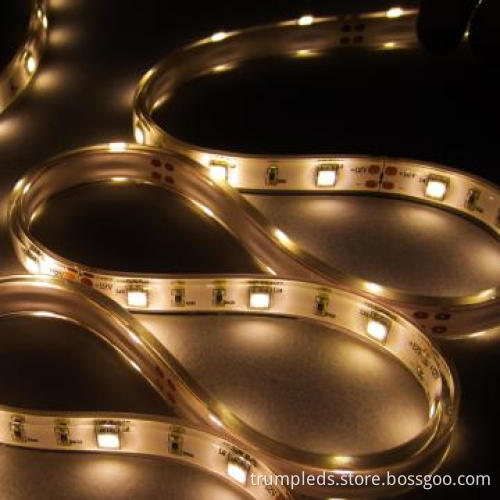 5050 White Color LED Strip Lamp For Outdoor Landscape Decoration